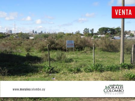 Terreno de 700 mt2 – Florida