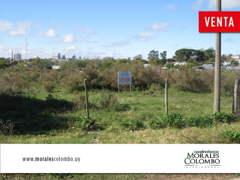 Terreno de 700 mt2 – Florida