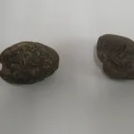Lote: 21 - Lote: 21 - Lote compuesto por fichas de estancia y 2 piedras de ondas