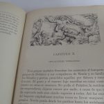 Lote: 41 - Lote: 41 - 