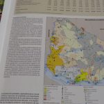 Lote: 16 - Lote: 16 - 