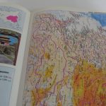 Lote: 16 - Lote: 16 - 