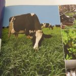 Lote: 23 - Lote: 23 - 