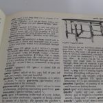 Lote: 20 - Lote: 20 - 