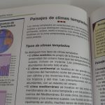 Lote: 17 - Lote: 17 - 