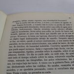 Lote: 8 - Lote: 8 - 