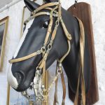 Lote: 70 - Lote: 70 - Recado completo