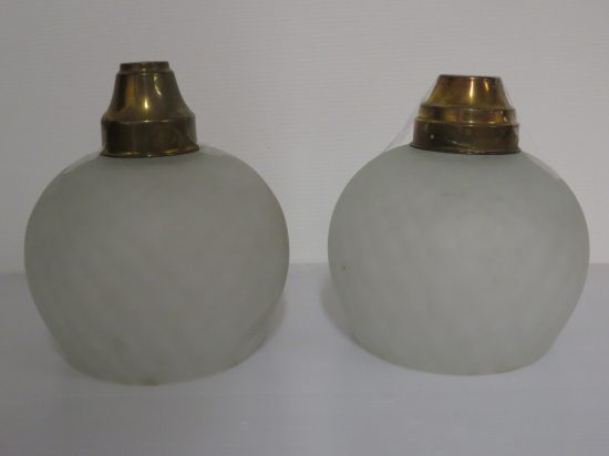 Lote: 44 - Lote: 44 - Tulipa campana