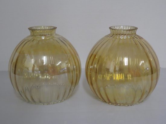 Lote: 59 - Lote: 59 - Tulipas ambar campana
