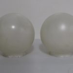 Lote: 69 - Lote: 69 - Tulipas globo blancas