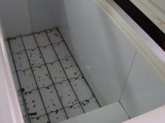 Lote: 8 - Lote: 8 - Freezer horizontal