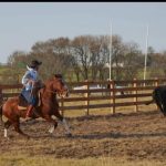 Lote: 1 - Lote: 1 - Padrillo - Las Callanas Muy Lindo