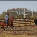 Lote: 1 - Lote: 1 - Padrillo - Las Callanas Muy Lindo