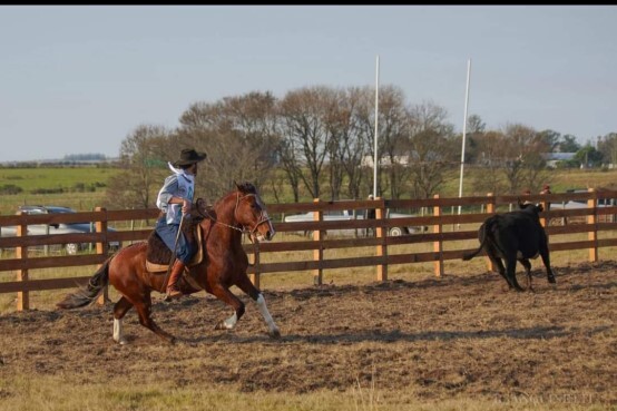 Lote: 1 - Lote: 1 - Padrillo - Las Callanas Muy Lindo