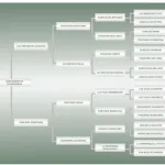 Lote: 2 - Lote: 2 - Padrillo - Jangadeiro da Charqueada