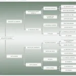 Lote: 3 - Lote: 3 - Padrillo - Adelante Do Quaraci