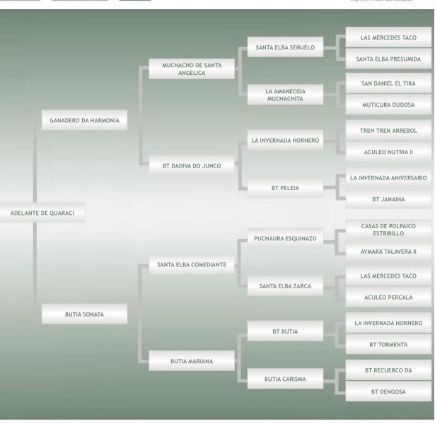 Lote: 3 - Lote: 3 - Padrillo - Adelante Do Quaraci