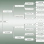 Lote: 4 - Lote: 4 - Padrillo - Vivente do Puruna