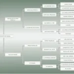 Lote: 4 - Lote: 4 - Padrillo - Vivente do Puruna