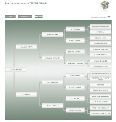 Lote: 5 - Lote: 5 - Padrillo - Federal Pagano