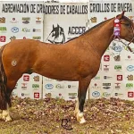 Lote: 6 - Lote: 6 - Padrillos - Entrevero de Los Cardos/Ecuador de Los Cardos