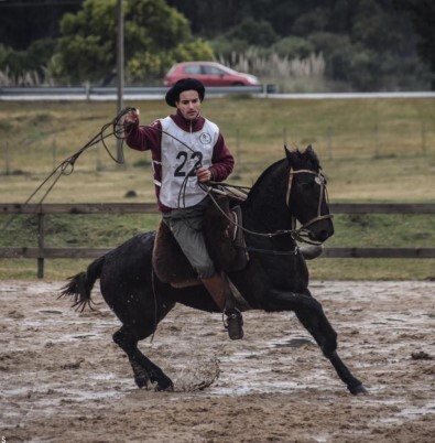 Lote: 13 - Lote: 13 - Padrillo - Arrayan Lazaro