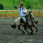 Lote: 13 - Lote: 13 - Padrillo - Arrayan Lazaro