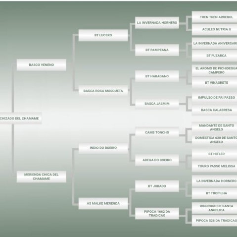 Lote: 14 - Lote: 14 - Padrillo - Hechizado del Chamamé