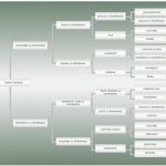 Lote: 18 - Lote: 18 - Padrillo - Tiento Talibán