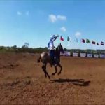 Lote: 20 - Lote: 20 - Padrillo - Marche Preso Molles