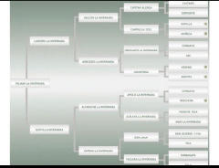 Lote: 23 - Lote: 23 - Padrillo - Palmar La Invernada