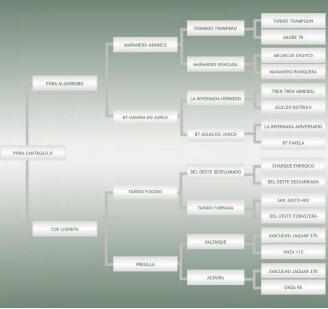 Lote: 26 - Lote: 26 - Padrillo - Pora Cantagallo