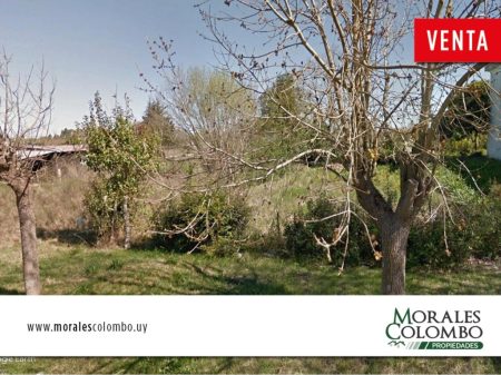 Terreno 457 mts2. – 25 de Mayo