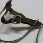 Lote: 247 - Lote: 247 - Espuelas