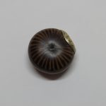 Lote: 68 - Lote: 68 - Mate galleta