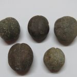 Lote: 271 - Lote: 271 - Piedras de boleadoras