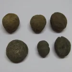 Lote: 235 - Lote: 235 - Boleadoras indígenas
