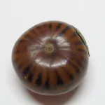 Lote: 61 - Lote: 61 - Mate galleta