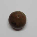 Lote: 63 - Lote: 63 - Mate galleta