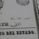 Lote: 37 - Lote: 37 - Documento