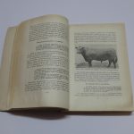 Lote: 35 - Lote: 35 - Libros