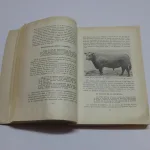 Lote: 35 - Lote: 35 - Libros