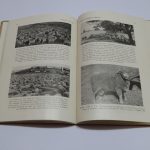 Lote: 35 - Lote: 35 - Libros