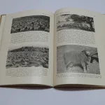 Lote: 35 - Lote: 35 - Libros