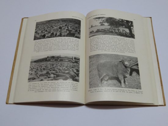 Lote: 35 - Lote: 35 - Libros
