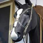 Lote: 213 - Lote: 213 - Cabezada, freno y riendas
