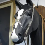 Lote: 213 - Lote: 213 - Cabezada, freno y riendas