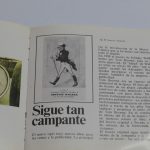 Lote: 36 - Lote: 36 - Caminantes y documento empresa