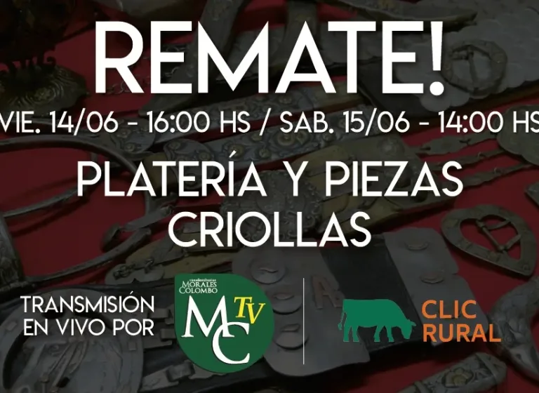 Remate 14 y 15 de Junio 2024