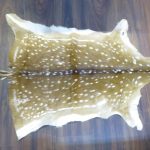 Lote: 368 - Lote: 368 - Cuero de venado